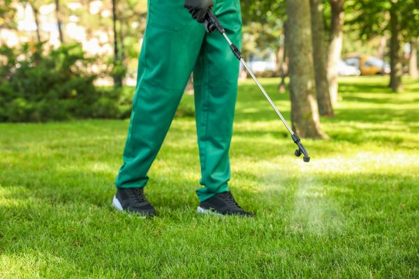Baton Rouge Lawn Treatment