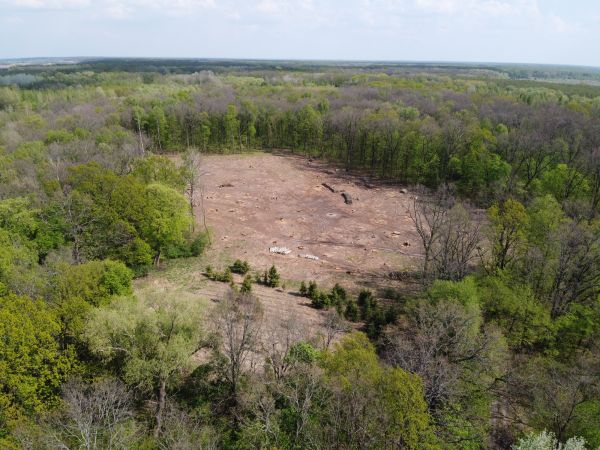Baton Rouge Land Clearing